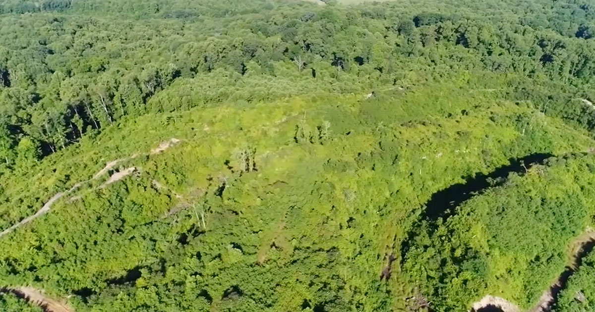 powelson_wildlife_area